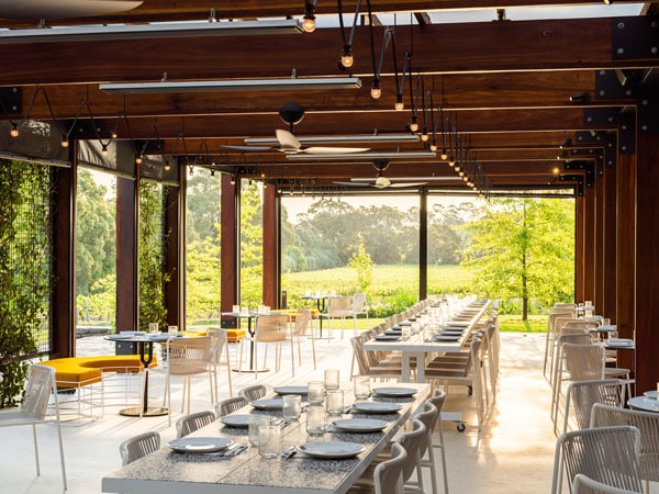 Interior Frankie melihat ke kebun anggur Mitolo di McLaren Vale