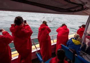 Pennicott Wilderness Tours Bruny Island