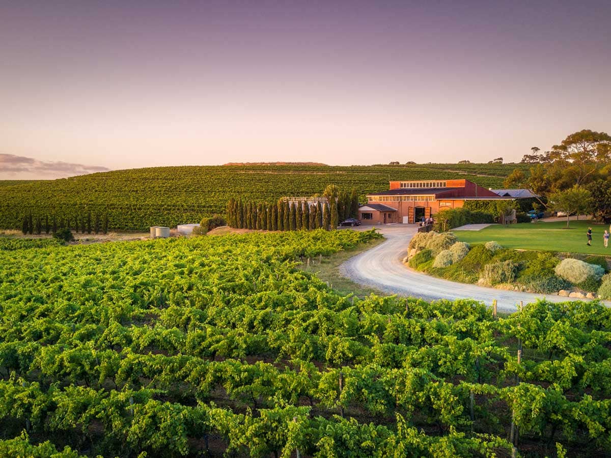 Best McLaren Vale wineries to suit every taste Australian Traveller