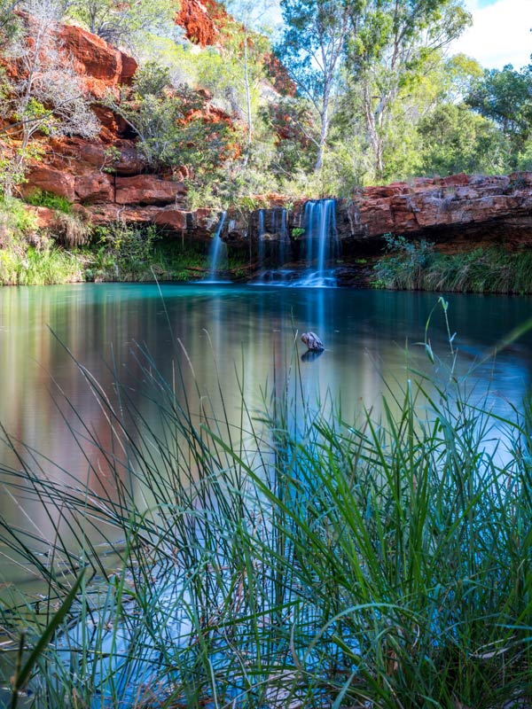 a portrait shot of the waterfalls and natural pool in Karijini National Park 