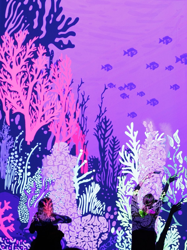 Octopus Garden, Wonderwater at the Australian National Maritime Museum