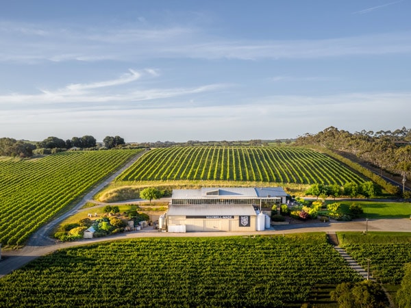 Maze at Maxwell Wines