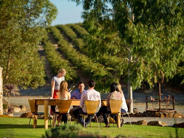 a group of friends sitting and sipping wine outside Oliver's Taranga