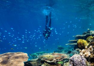 Scuba diving, The Whitsundays, Queensland, Australia