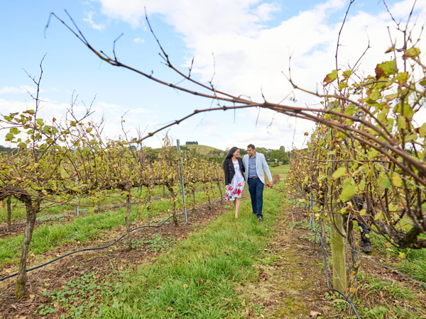 a couple exploring Southern Highlands Winery in Sutton Forest