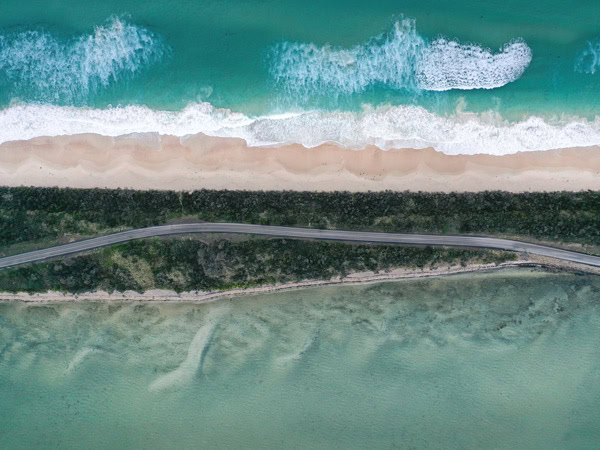 a road between a beach and lush greenery at The Neck Reserve Camping Area, Bruny Island