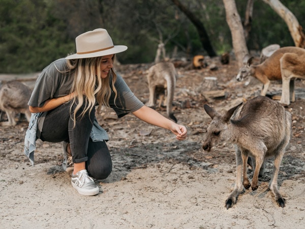 Memberi makan kanguru di Walkabout Park Central Coast