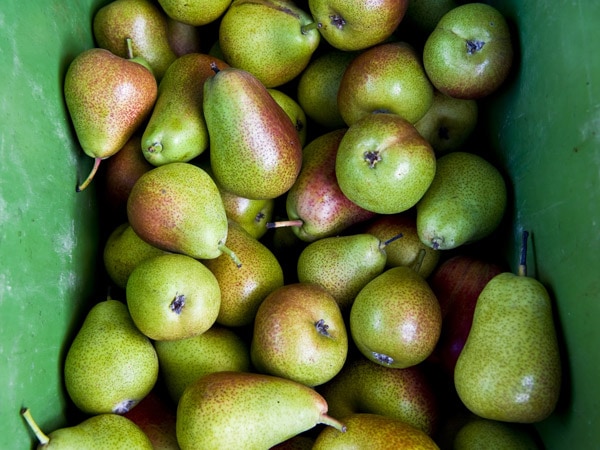 Pears from Willunga Farmers Market