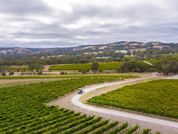 an aerial shot of the Yangarra vineyard