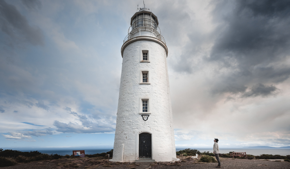 Bruny Island Tours