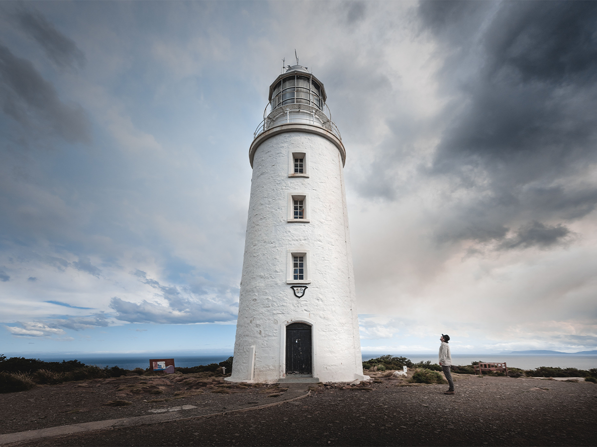 Bruny Island Tours