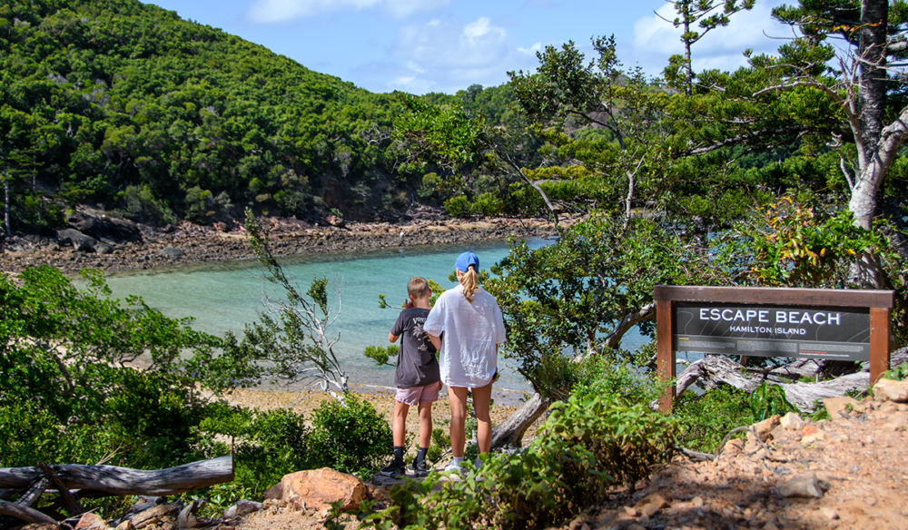 Best Hamilton Island beaches and swimming pools