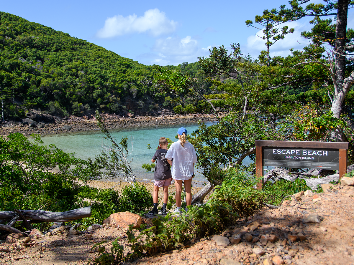 Best Hamilton Island beaches and swimming pools