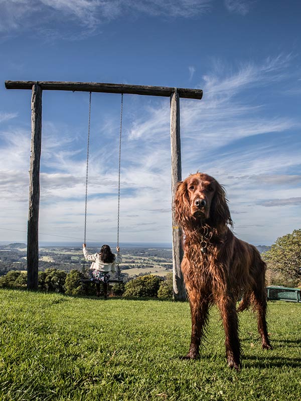 Mt Hay Retreat cloud swing