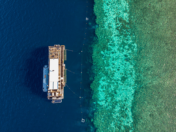 Reef suites pontoon near Hamilton Island