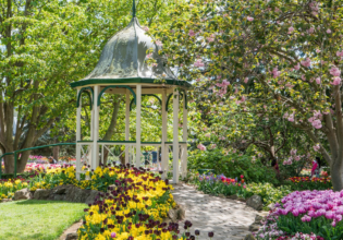 Things To Do In Bowral