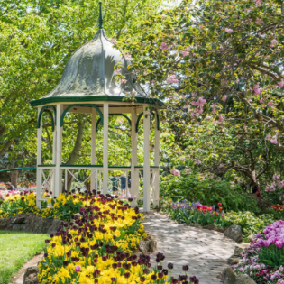 Things To Do In Bowral