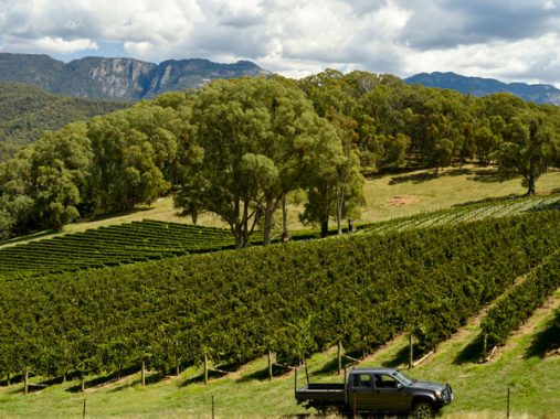 15 Unmissable Things To Do In Bright, Victoria - Australian Traveller