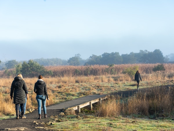 visitors traversing an elevated walkway