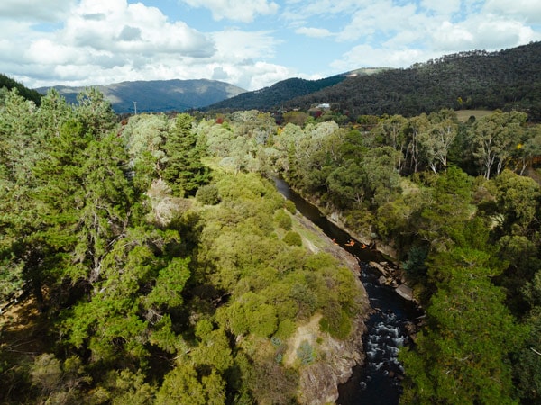 an aerial view of the lush forest surrounding the Ovens River