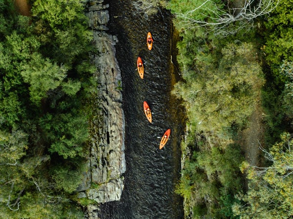 an aerial view of people kayaking on Ovens River