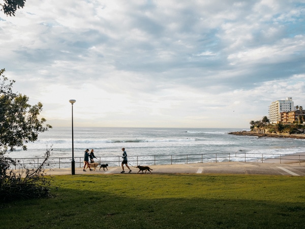 10 Hal Terbaik Yang Dapat Dilakukan Di Cronulla