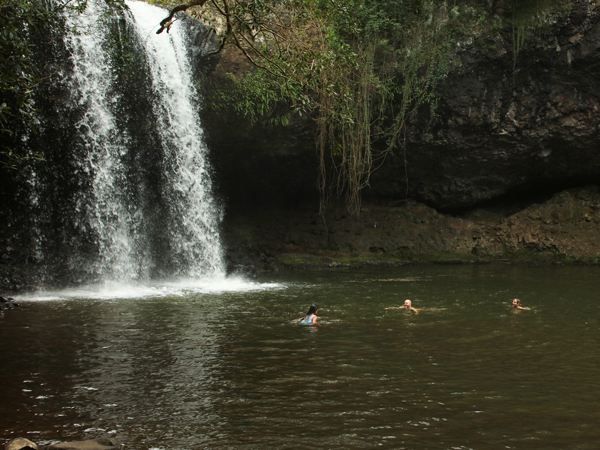 Killen Falls, NSW