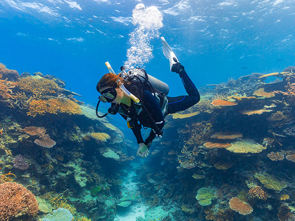 % Sudden experiences in Townsville, North Queensland - Australian Traveller Sudden experiences in Townsville, North Queensland - Australian Traveller