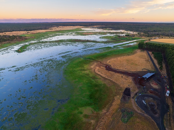 an aerial view of the woodlands and wetlands of Budj Bim