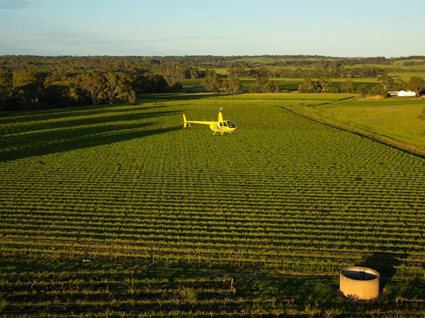 Helikopter Barossa terbang di atas kebun anggur