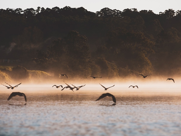 The scenic Bellingen River on the Mid North Coast of NSW.