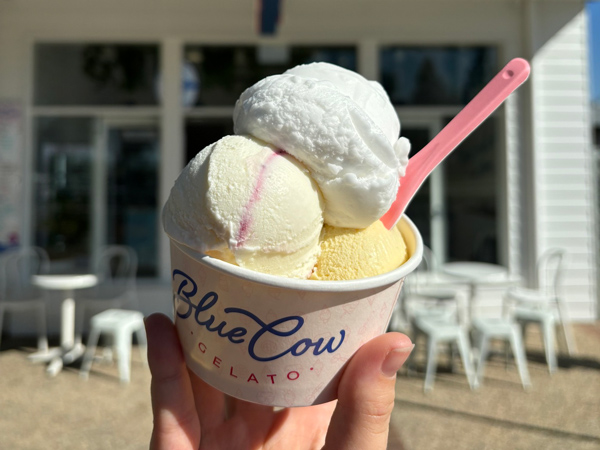 a cup of Blue Cow Gelato