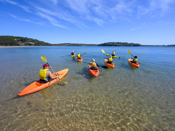 a group of kayakers at Cabbage Tree Basin