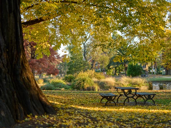 Cook Park Orange in autumn