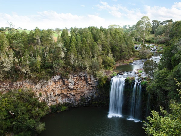 Dangar Falls, Dorrigo located on the North Coast.