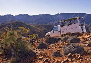 Adventure, Arkaroola Wilderness Sanctuary, South Australia