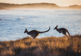Every memory-making stop on a Yamba to Coffs Harbour day trip