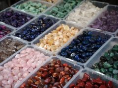 10 Unique Things to do in South West Rocks - Australian Traveller