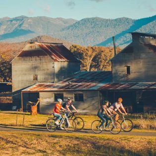 a group of bikers traversing the Murray rail trail