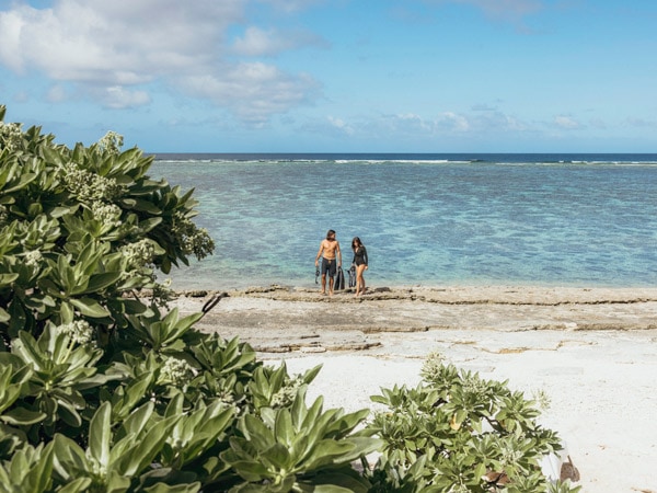 Pasangan berjalan di Lady Elliot Island di Eco Resort di Bundaberg