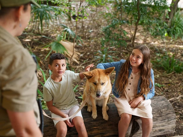 two kids sitting next to a dingo at Lone Pine Koala Sanctuary