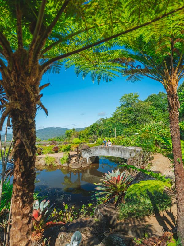 Maleny Botanic Gardens and Bird World