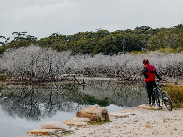 a biker walking by the Cabbage Tree Basin betweenMaianbar and Bundeena