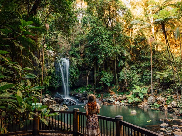 Curtis Falls, Mount Tamborine