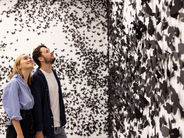 a couple looking up at an artwork on the wall at Queensland Art Galley