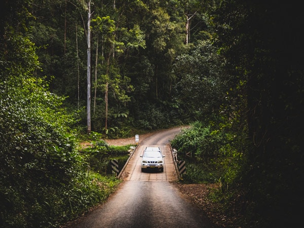4WD driving through a scenic forest near Dorrigo.