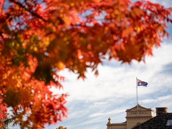 Autumn leaves across the city of Armidale NSW