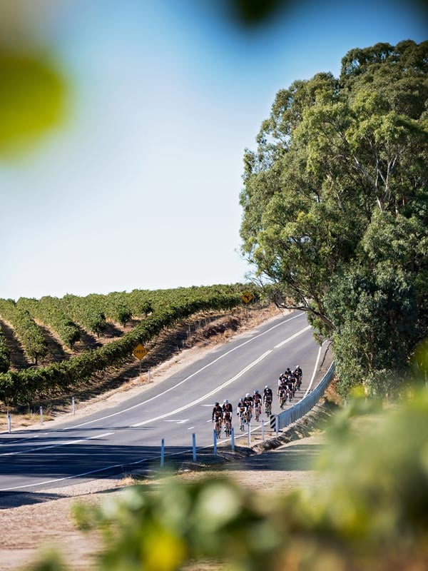 SuperCycle cyclists in the Barossa Valley