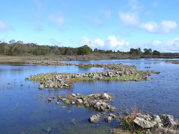 scenic wetlands and stony rises at Tae Rak Aquaculture Centre