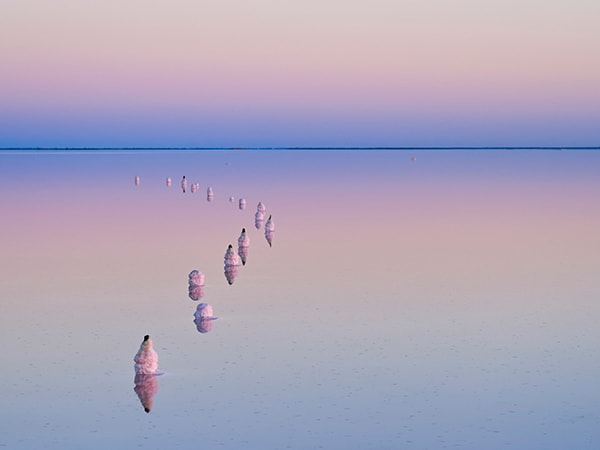 Danau garam merah muda Danau Tyrrell